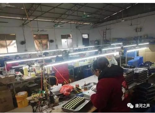 唐河縣少拜寺鎮依法取締無證電子廠，確保安全生產與民生福祉